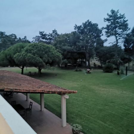 Villa T1 Na Casa Da Quinta S Jose à Praia de Mira Extérieur photo